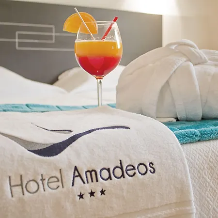 Amadeos - - Porto Hotel 3*