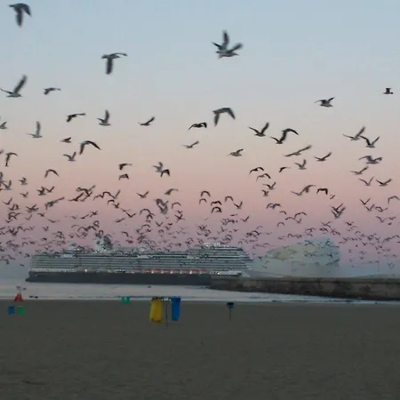 Amadeos - Matosinhos - Porto Matosinhos (Porto)