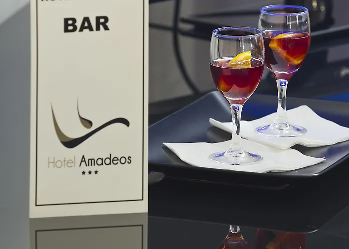 Amadeos - - Porto Hotel 3*
