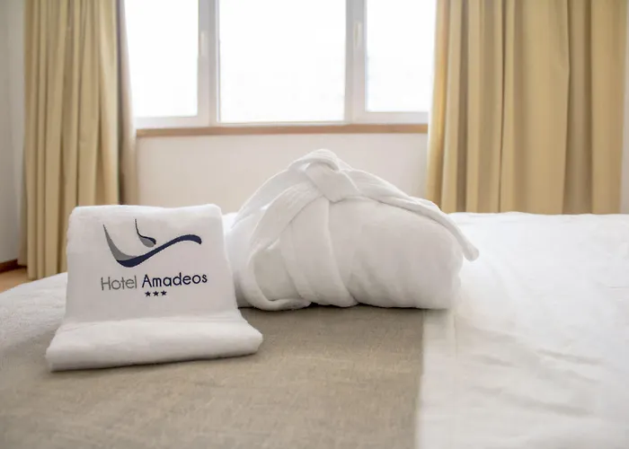 Hotel Amadeos - - Porto