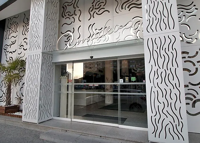 Hotel Amadeos - - Porto 3*